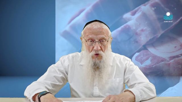 Вопросы & ответы об иудаизме. ЧАСТЬ 2. Рав Йосеф Менделевич. смотреть онлайн