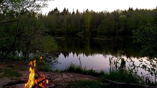 Звуки природы у костра.Птицы ловят рыбу, берег,Campfire смотреть онлайн