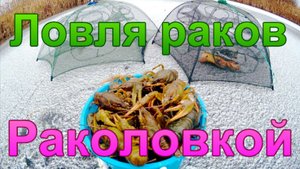 Ловля раков раколовкой.