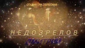 ДМИТРИЙ НЕДОЗРЕЛОВ КОЛОКОЛА (Дворовая песня)