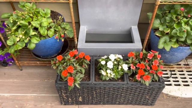 End of June 2022 Deck Garden смотреть онлайн