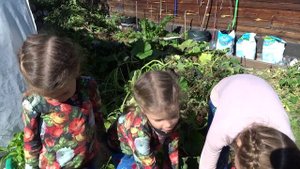 песенка про урожай.mp4