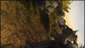 Dino Hunter DS Vs Deer Hunter: Classic vs Deer Hunter: 2018 - Death by Elephants ands Rhino