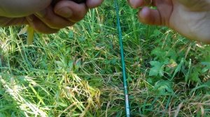 небольшая речка, рыбалка на удочку. лес, лето.