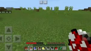 Мод на морских обитателей в Майнкрафт  пе 1.2