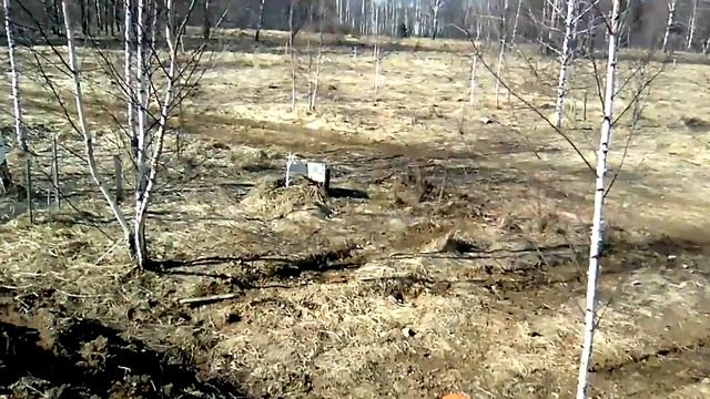 ?Подробно о высокой гряде и пруде Лягушатнике | Поселение родовых поместий #Стрелёнки