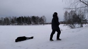 А мы пингвинчики, а нам не холодно. летим с горки в лесу