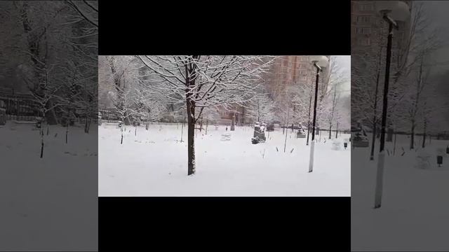 Зимушка-зима. Красивая зимняя природа. Зимняя сказка.