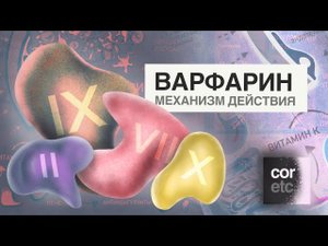 Как работает Варфарин (механизм действия)?