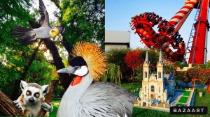 Развлечение рядом с Кобулети. Отдых в Грузии.#14