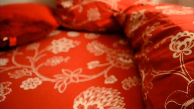 Nikon D3100 RAW Video Test смотреть онлайн