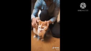 Ботан val4a Делает Добрые Дела. До Слёз