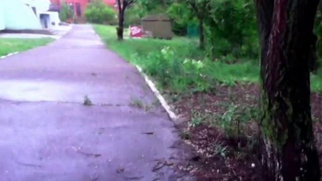 Богучар - военный городок, кому это надо? Конфликт интересов!