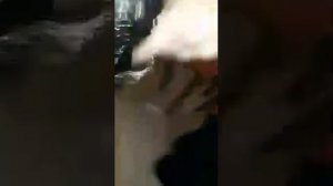 ахвах свадьба сиражудина алдамова