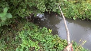 РЫБАЛКА НА ПАУК! НОВЫЙ МЕТОД ЛОВЛИ ОСЕНЬЮ! ПОПАЛИ ПОД ГРАД!