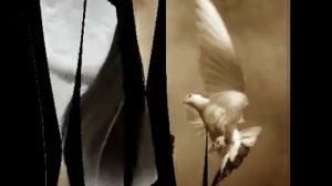 клип ЛЕТАЙ!