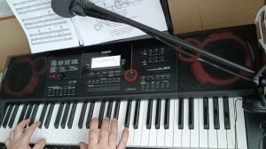 Lian Ross -- Say You'll Never (cover). Синтезатор Casio CT-X3000