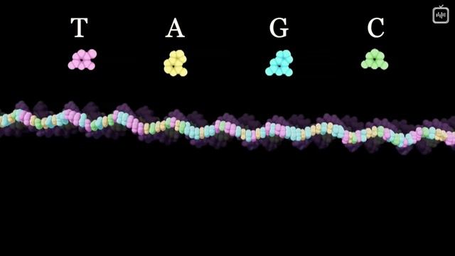 Сколько в нас информации_ [Veritasium](1080P_HD) смотреть онлайн