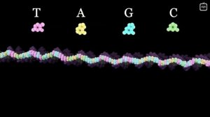 Сколько в нас информации_ [Veritasium](1080P_HD)