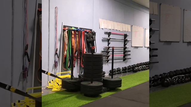 тянем сани в упряжке 270кг. смотреть онлайн