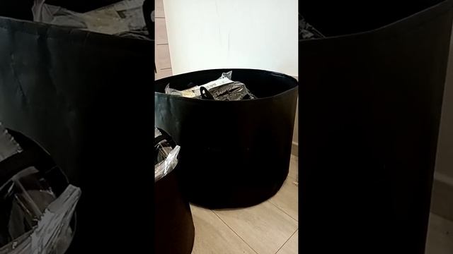 GeoTara- умный горшок для растений