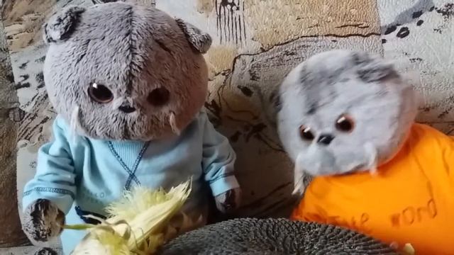 Басики едят семечки из подсолнуха смотреть онлайн