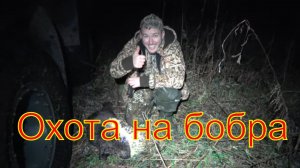 Охота на бобра капканами\ кп 320 на бобра \  castor fiber #1