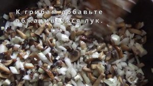 Рулеты из куриной грудки с шампиньонами и сыром в духовке.
