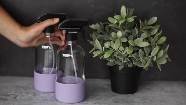 16 oz Clear Glass Spray Bottles with Lavender Silicone Sleeve смотреть онлайн