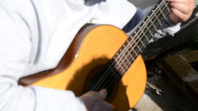 Chacarera Pampeana por Osvaldo Aranda смотреть онлайн