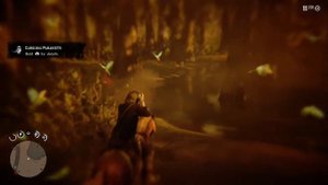 RDR 2 - Carolina Parakeet Location, Rare in Lemoyne - Xbox One