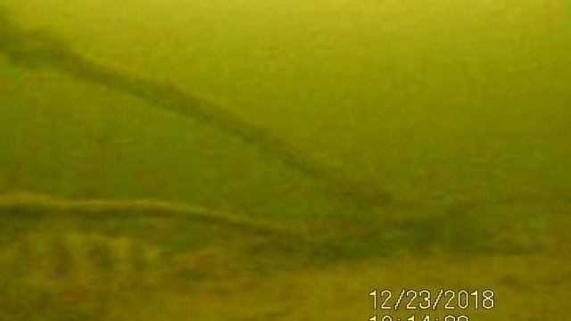 Судак отвернулся от меня смотреть онлайн