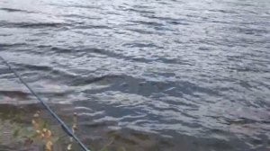 Рыбалка на Огурском заливе!!!Второй день!