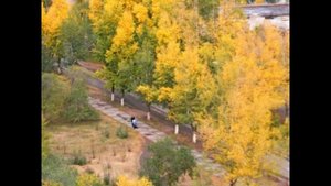 В Краснокаменске осень
