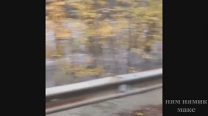 Река Белая вышла из берегов в Адыгее.