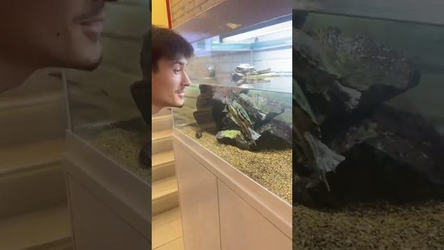 Лучший том ям в мире — в Алмате, представляете! Попробуйте сами, зайдите в TomYumBar! #обзор #томям смотреть онлайн