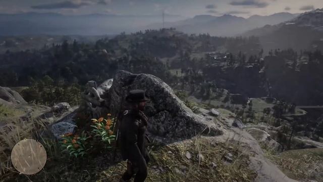 Где найти могилу Артура Моргана►RDR 2►сюжетные спойлеры!!!