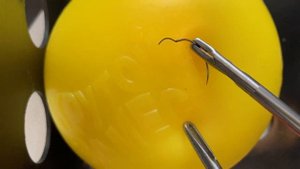 4 способа позиционирования иглы  // лапароскопический шов // laparoscopic suturing