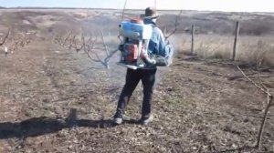 Первая весенняя обработка сада.