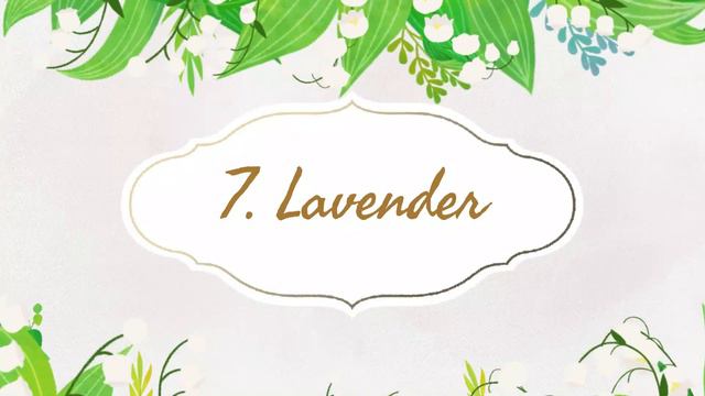 12 Herbs That Keep Mosquitoes Away | Best Mosquito Repellent Herbs