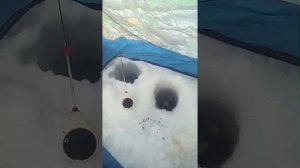 р. Иня зима.mp4