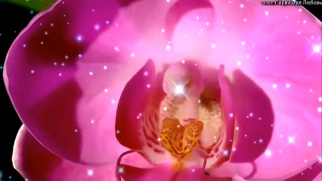 Поздравление МАМЕ на День матери. С ДНЕМ МАМЫ. Любимой маме. 29 ноября день мамы смотреть онлайн