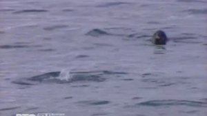 Природа Байкала. Россия. Часть 1