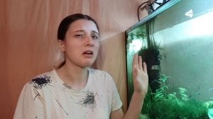 Проблема перекиси водорода в аквариуме. Борьба с водорослями