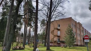 Детский санаторий "Васильевское"