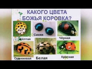 Божья коровка из пластилина