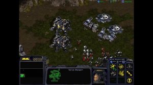 StarCraft: Enslavers part 20 - Massing Forces