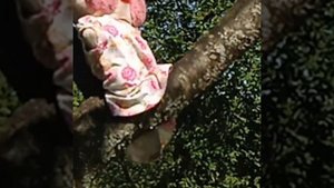 ВЛОГ С УТОЧКАМИ! 
#есеняимилка