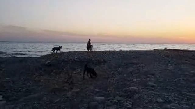 Лазаревское. у реки. смотреть онлайн