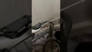 Как поменять пружину на коляске inglesina. Пружина ERGO BIKE.